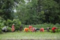 धान रोपाईंमा जुटे बुङ्गमतीका किसान (तस्बिरहरु)