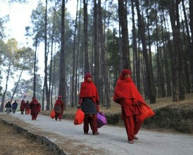 माघे झरीले रोकेन माधवनारायणका बर्तालुको पनौती यात्रा