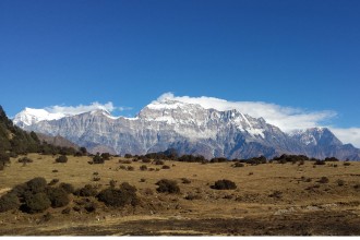 मोहनी लगाउने जलजलाको सौन्दर्य