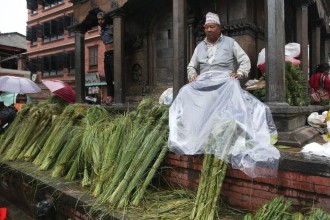 बसन्तपुर दरबार क्षेत्रमा कुशको व्यपार (तस्विरहरु)