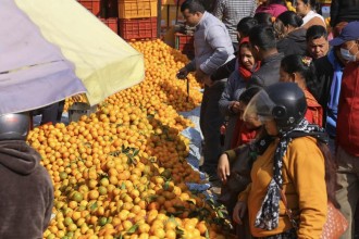 कालिमाटीमा सुन्तलाको व्यापार (तस्बिरहरु)