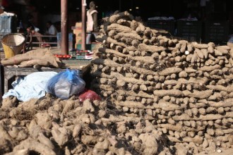 काठमाडौंमा तरुलको व्यापार (तस्बिरहरू)