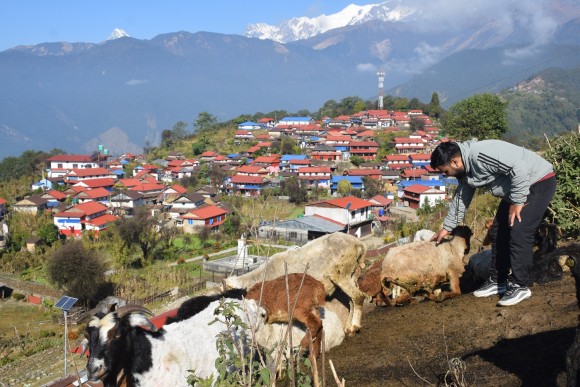 घलेगाउँलाई ‘सुखी गाउँ’ घोषणा गरिने