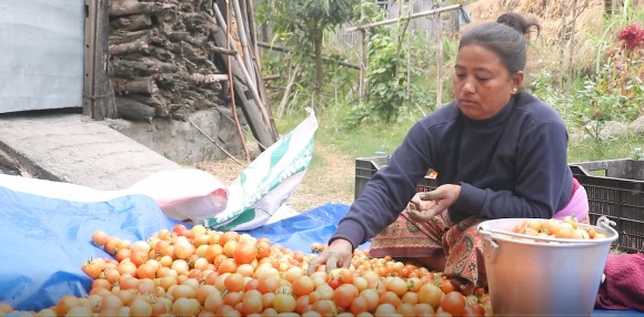 कृषकको गुनासोः ‘उत्पादन हामी गर्छाैं, मूल्य बिचौलियाले तोक्छन्’