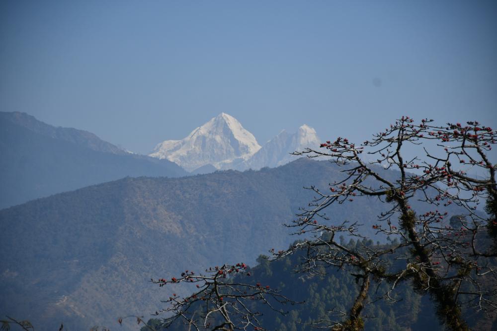 Budhha-parkriti-premi-(2)-1739692658.jpg