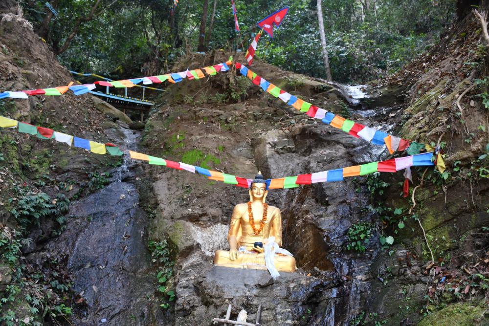 Budhha-parkriti-premi-(5)-1739692662.jpg