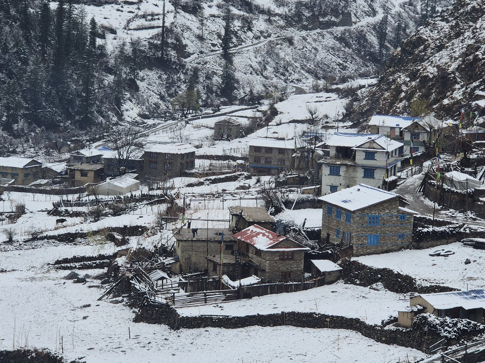 Jagadullah-dolpa-snow--2-1740808402.jpg