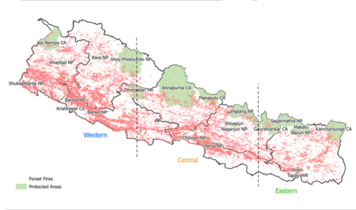 वन डढेलोले कार्बन र जैविक विविधतामा खतरा