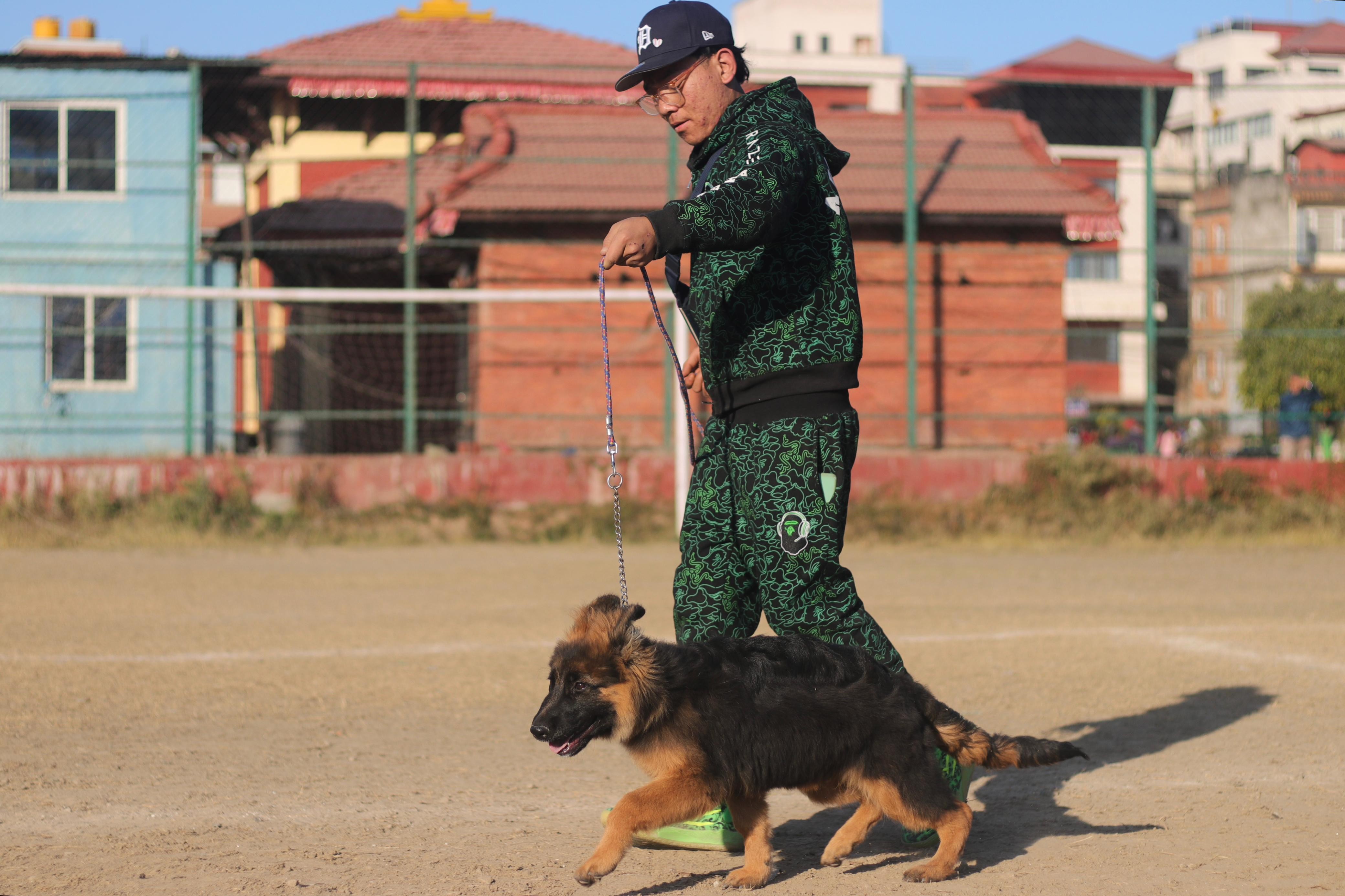 dog-show--10-1737269167.jpg