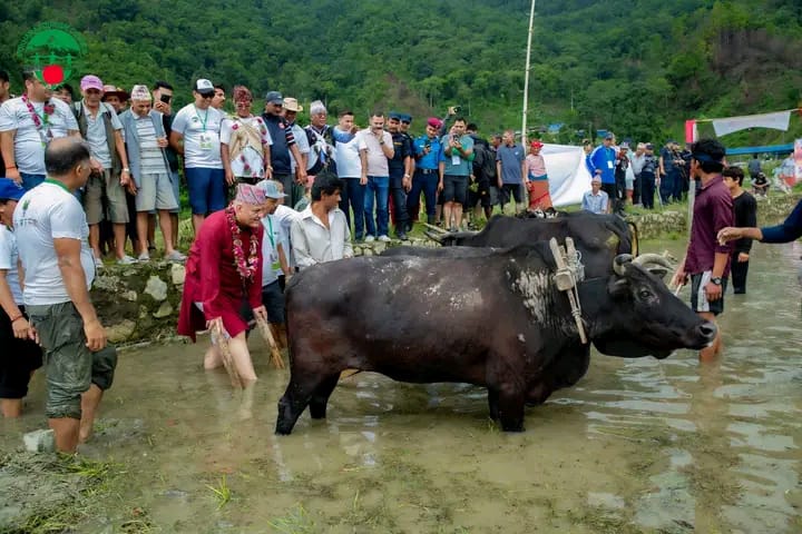 pokhara-ropai--(5)-1720162127.jpg