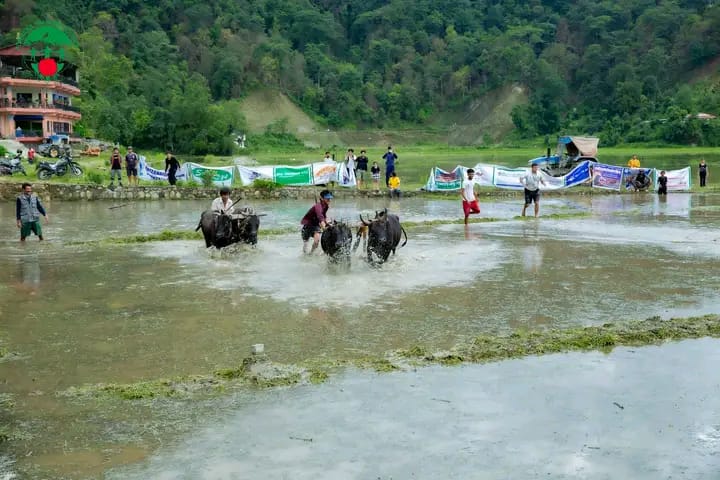 pokhara-ropai--(7)-1720162128.jpg